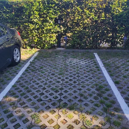 - Seebrise Am Zwenkauer *